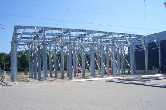 Limpens 2006