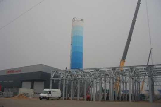 Limpens 2006
