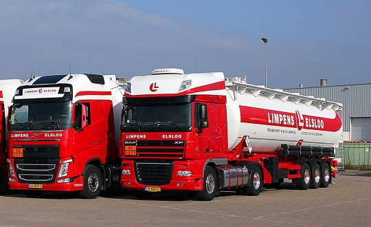 Limpens 2013